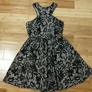 Windsor Black & Nude Lace Dress